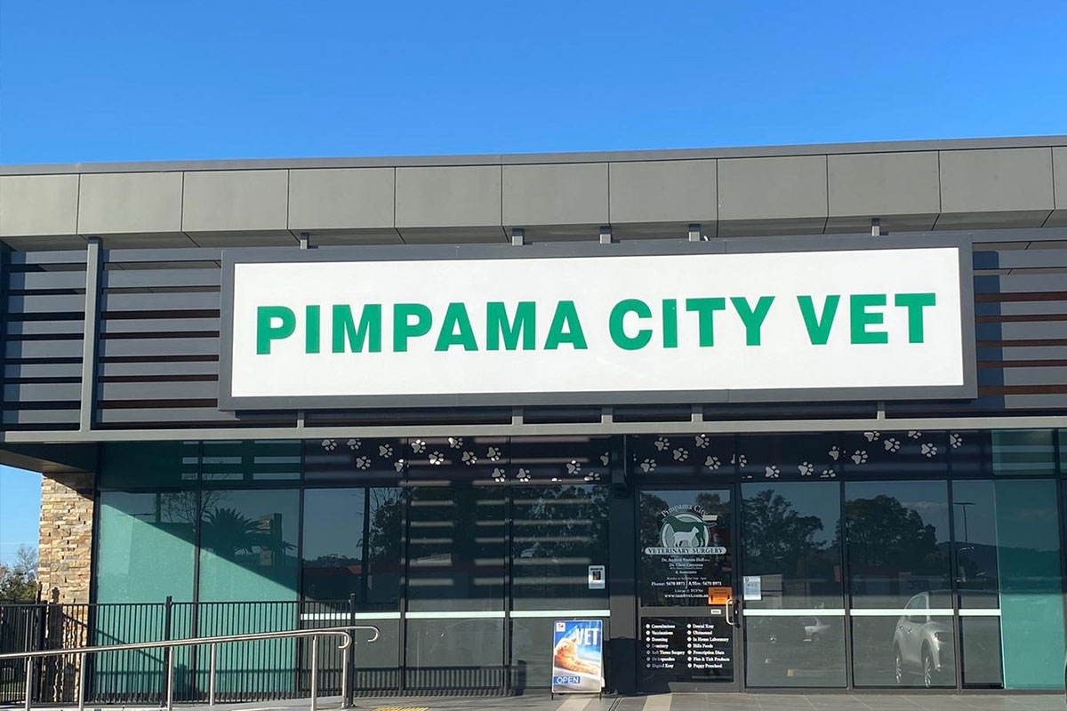 Pimpama City Vet Surgery