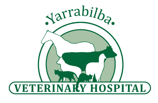 Yarrabilba Vet Hospital Logo