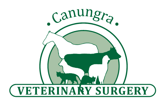 Canungra Vet Surgery Logo