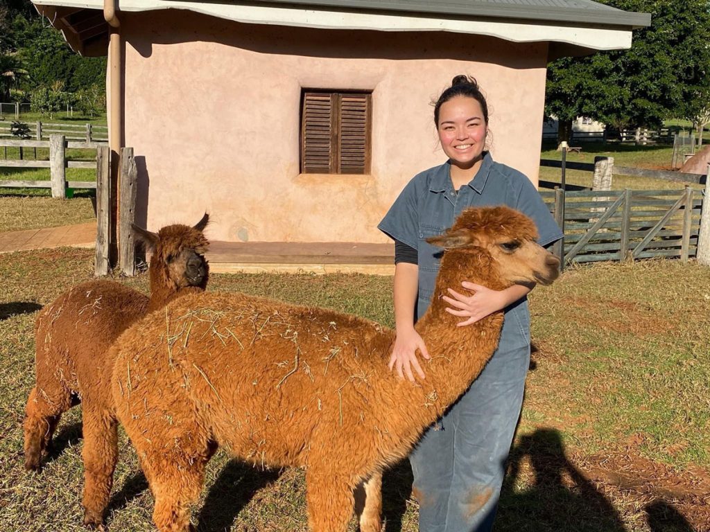 Canungra Vet Surgery - Dr Suki with alpacas