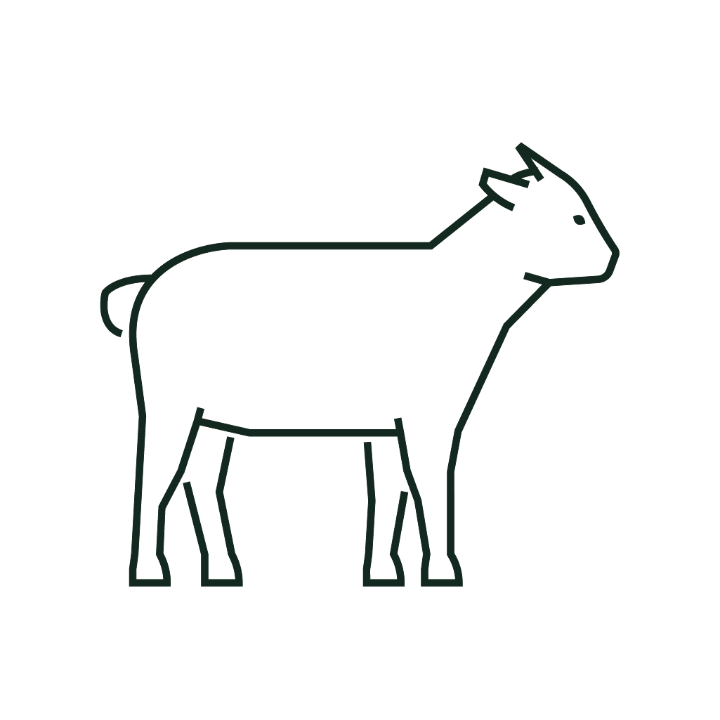 Canungra Vet Surgery - Goat icon