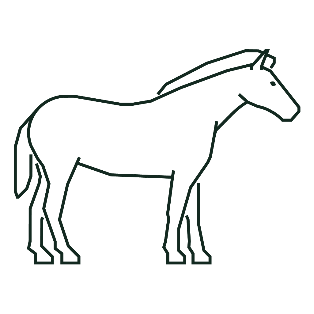 Canungra Vet Surgery - horse icon